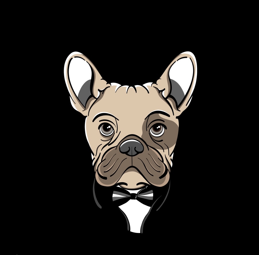 kokito logo, a french bull dog in a tuxedo